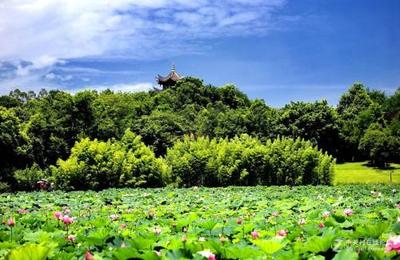 廣東2023年汽修學(xué)校熱門專業(yè)與連鎖店發(fā)展機(jī)遇